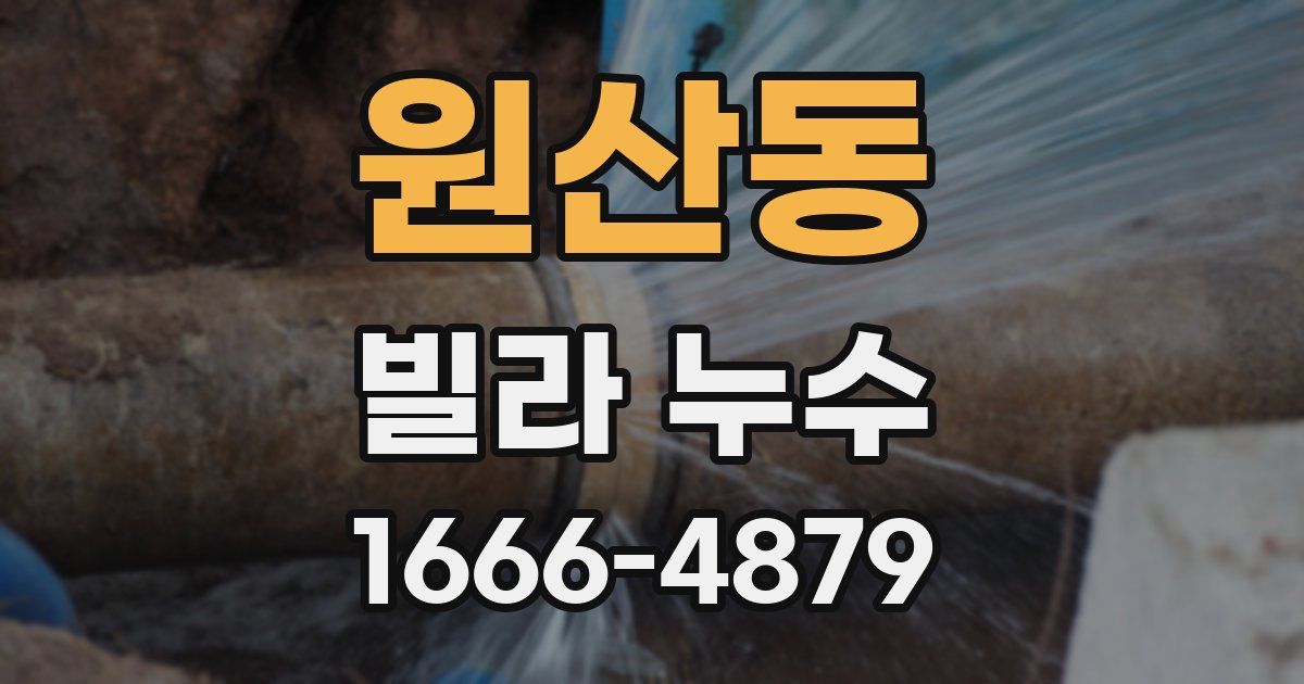 원산동 빌라 누수