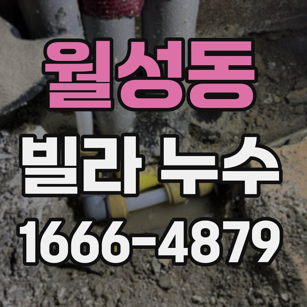 월성동 빌라 누수