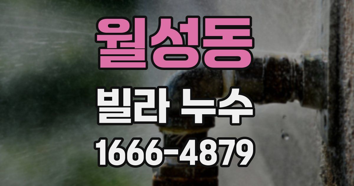 월성동 빌라 누수