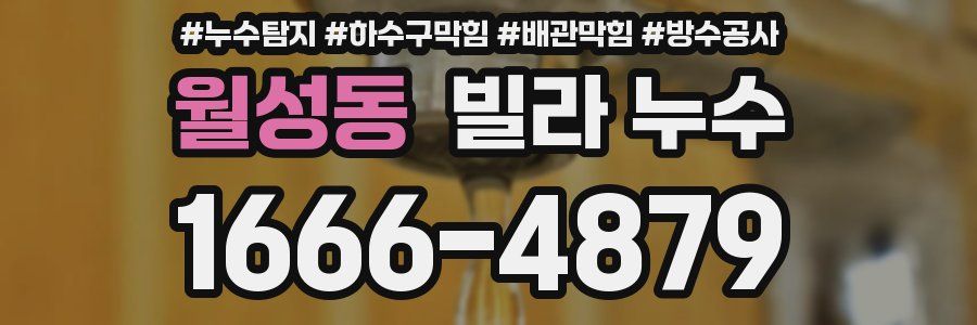 월성동 빌라 누수