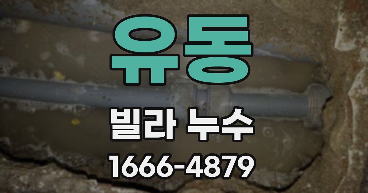 유동 빌라 누수