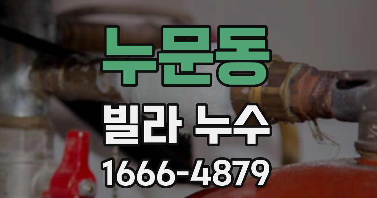 누문동 빌라 누수
