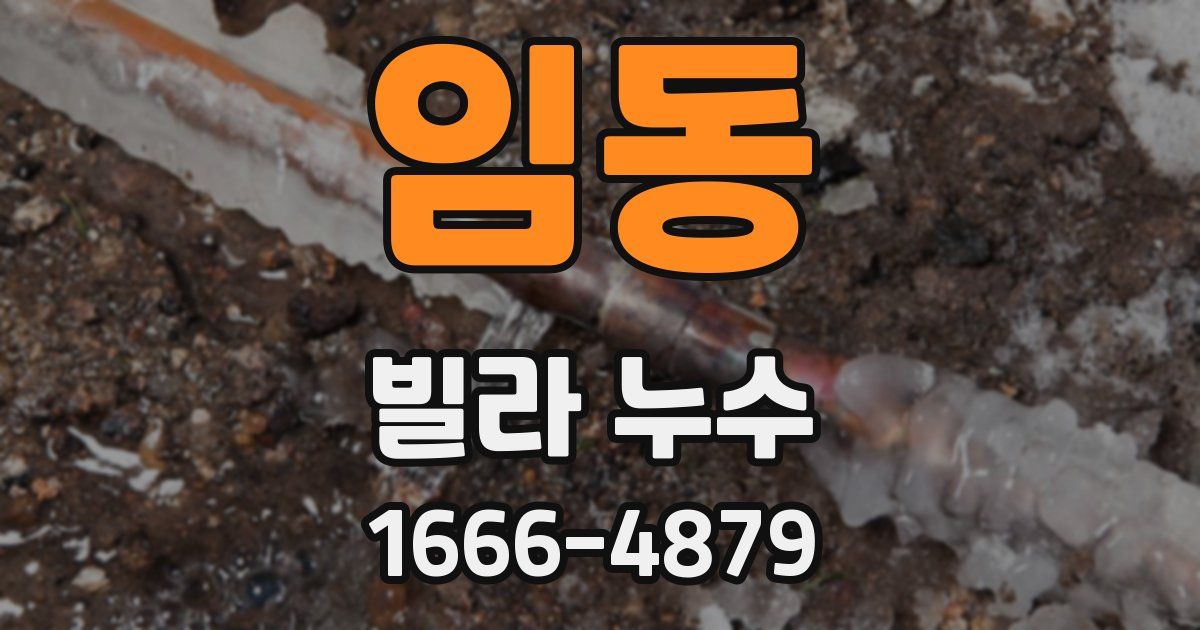 임동 빌라 누수
