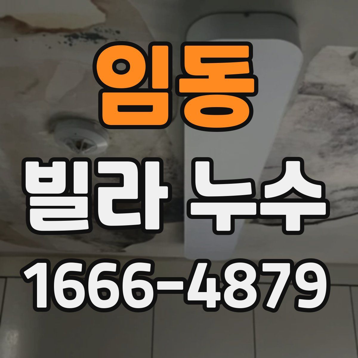 임동 빌라 누수