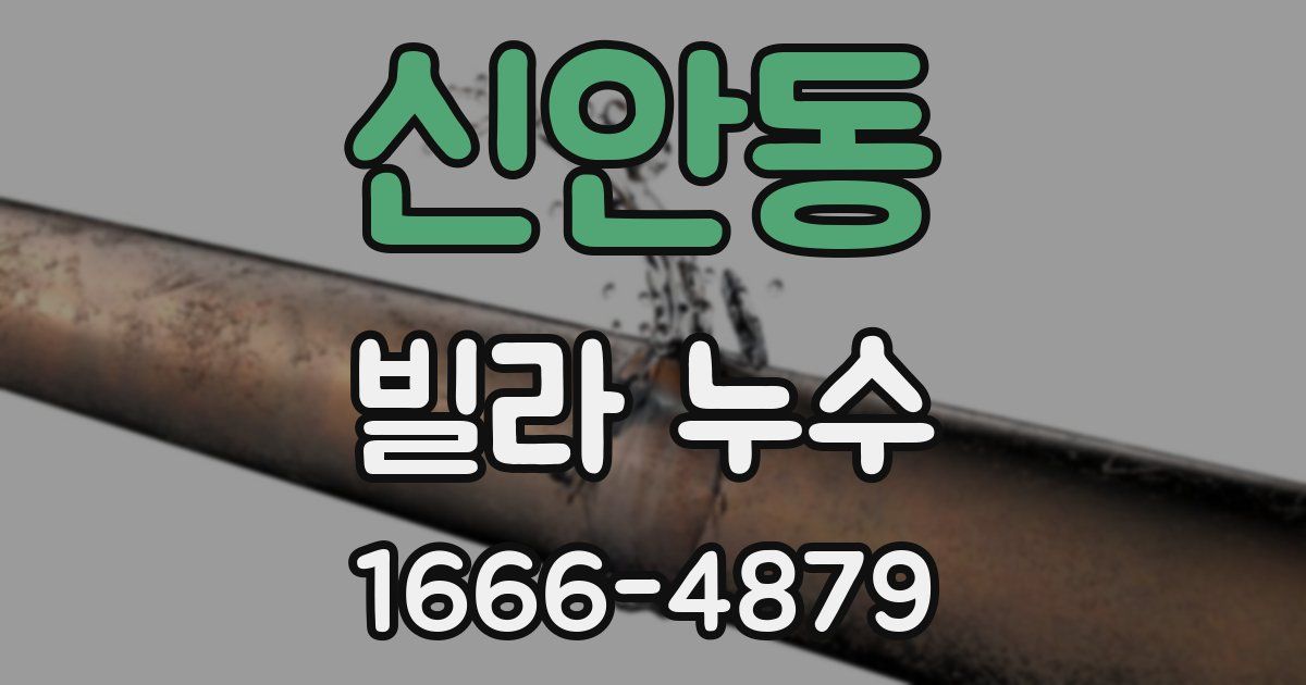 신안동 빌라 누수
