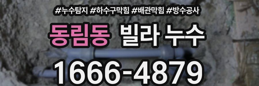 동림동 빌라 누수