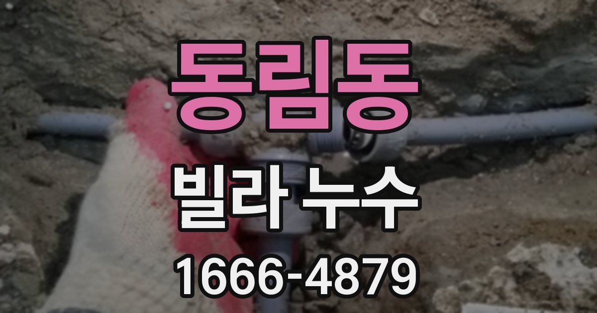 동림동 빌라 누수