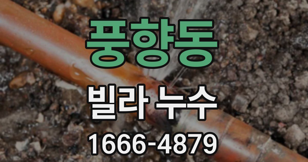 풍향동 빌라 누수