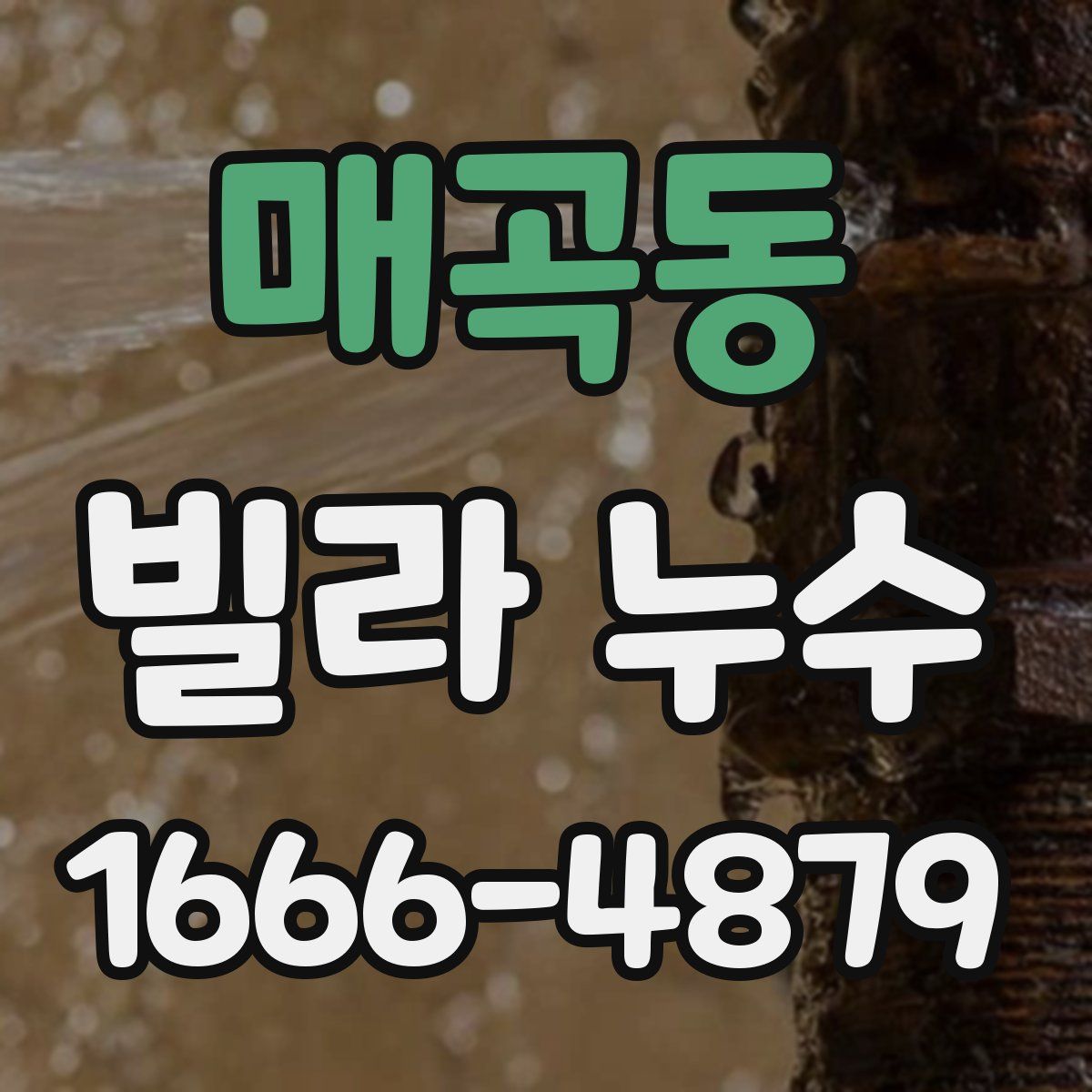 매곡동 빌라 누수