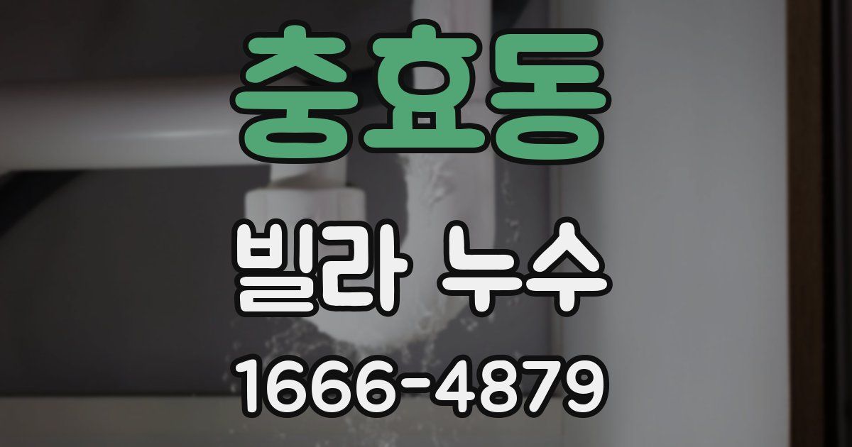 충효동 빌라 누수