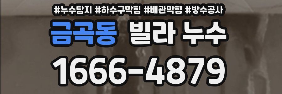 금곡동 빌라 누수