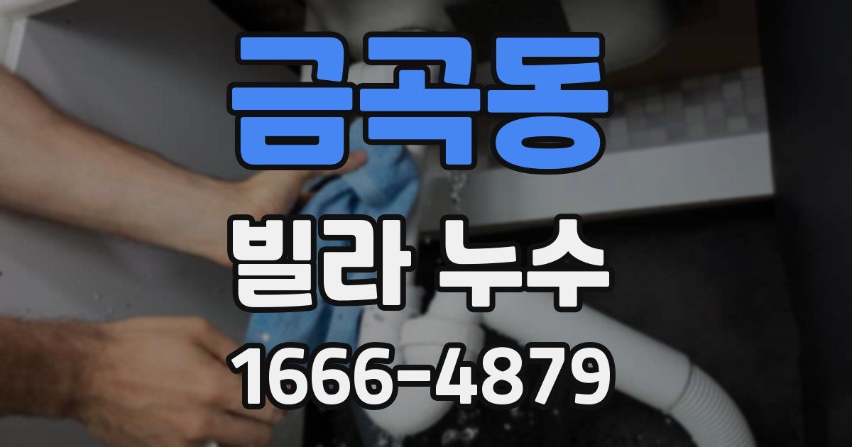 금곡동 빌라 누수