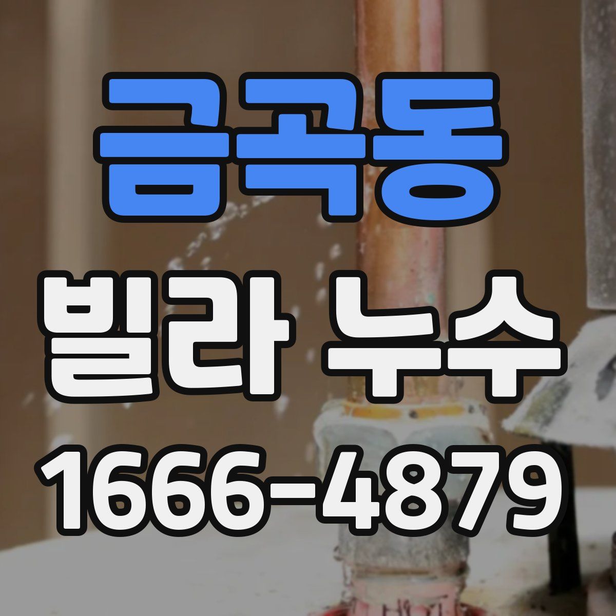 금곡동 빌라 누수