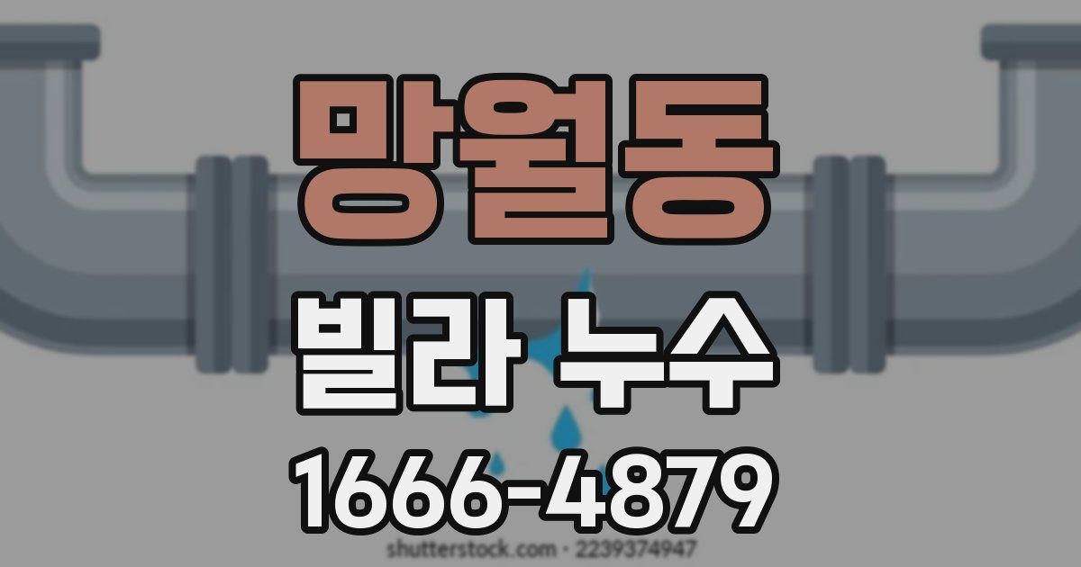 망월동 빌라 누수