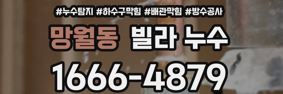 망월동 빌라 누수