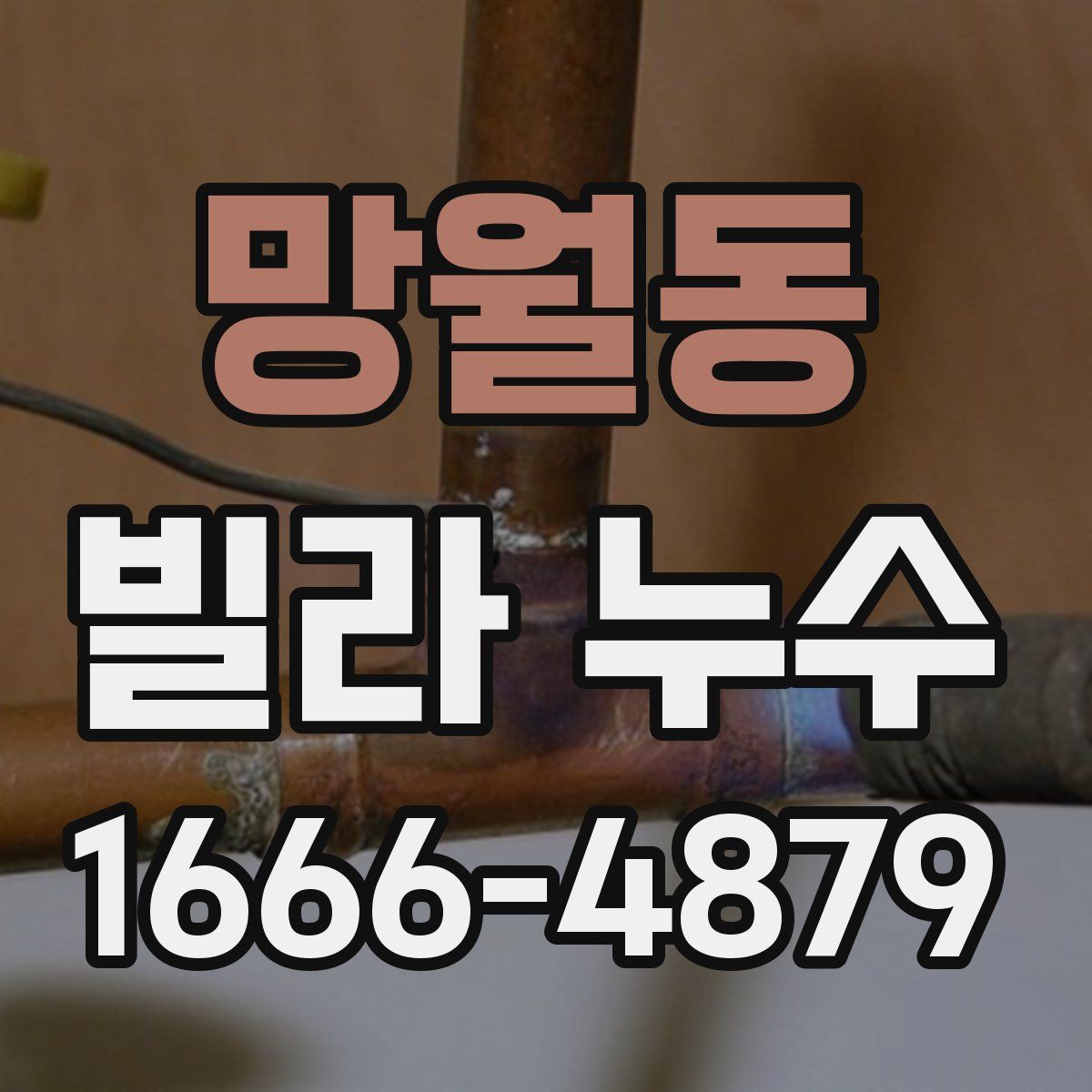 망월동 빌라 누수