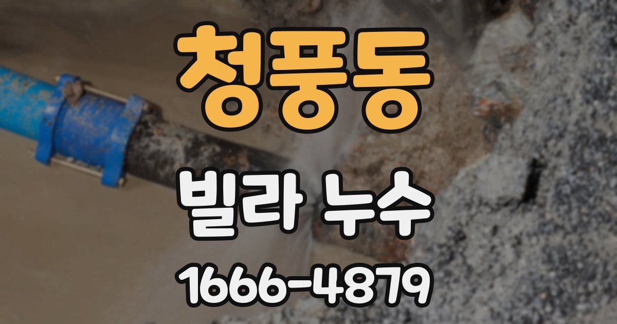 청풍동 빌라 누수