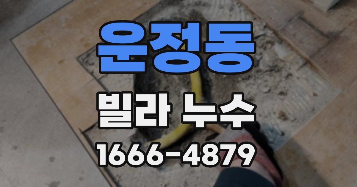 운정동 빌라 누수