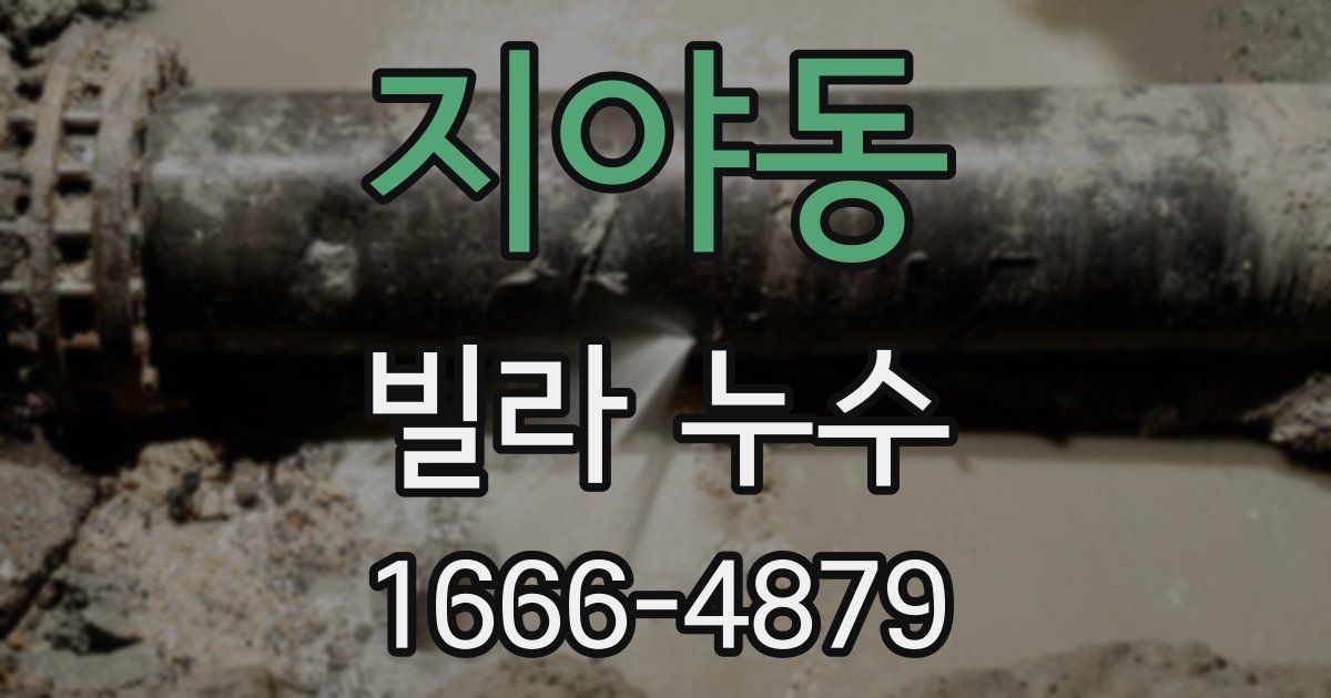 지야동 빌라 누수