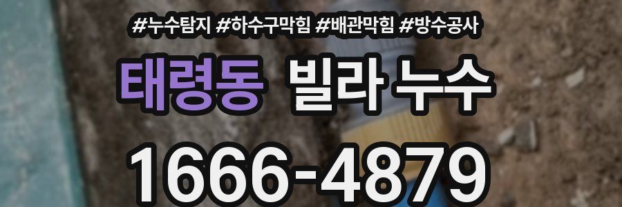 태령동 빌라 누수