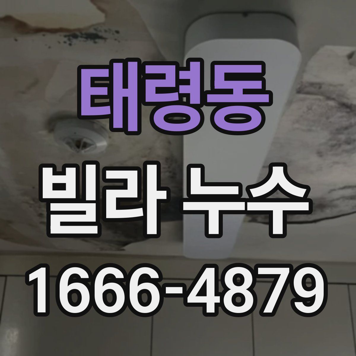 태령동 빌라 누수
