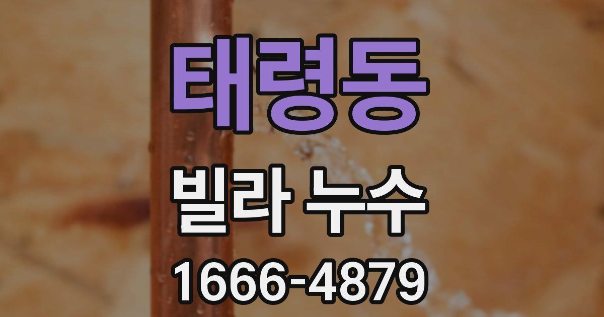 태령동 빌라 누수