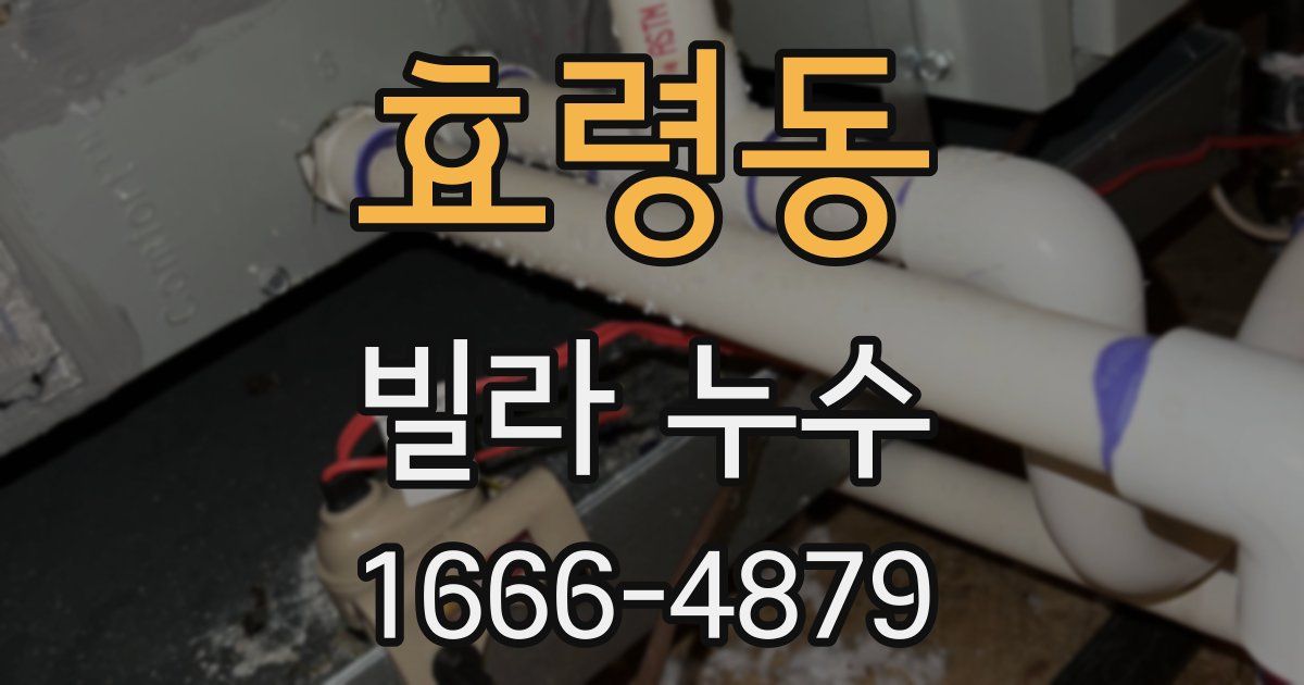 효령동 빌라 누수