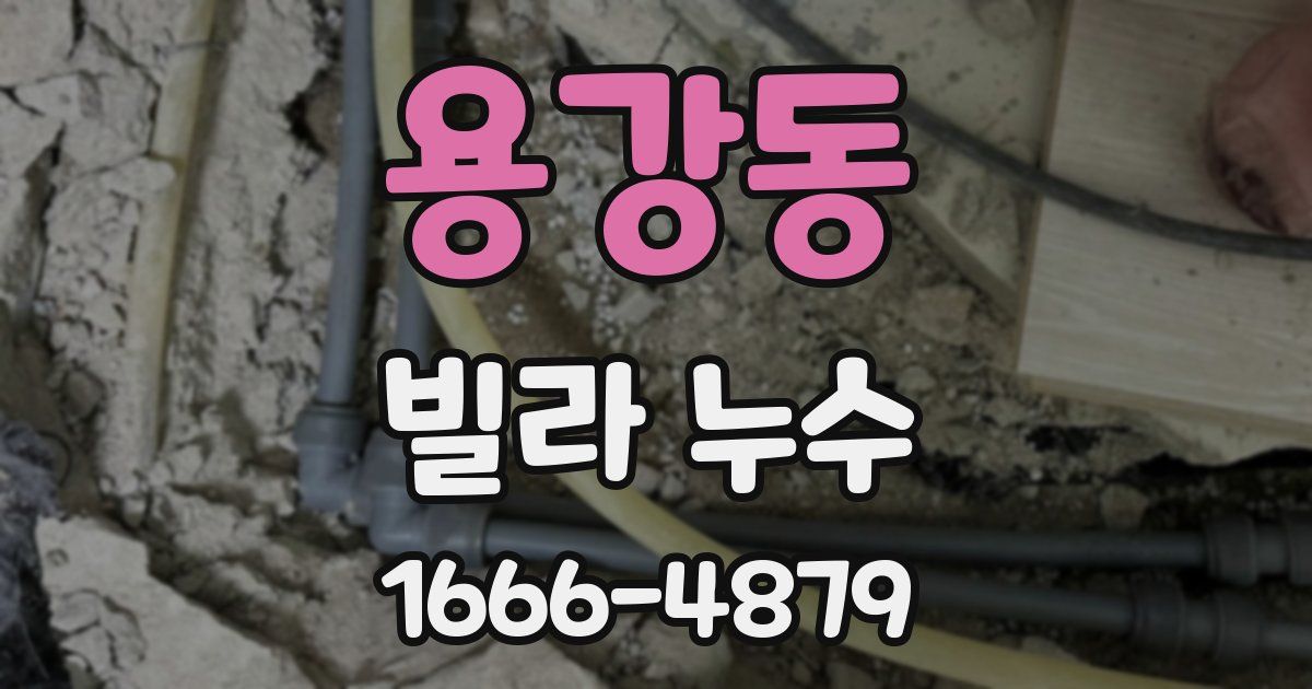 용강동 빌라 누수