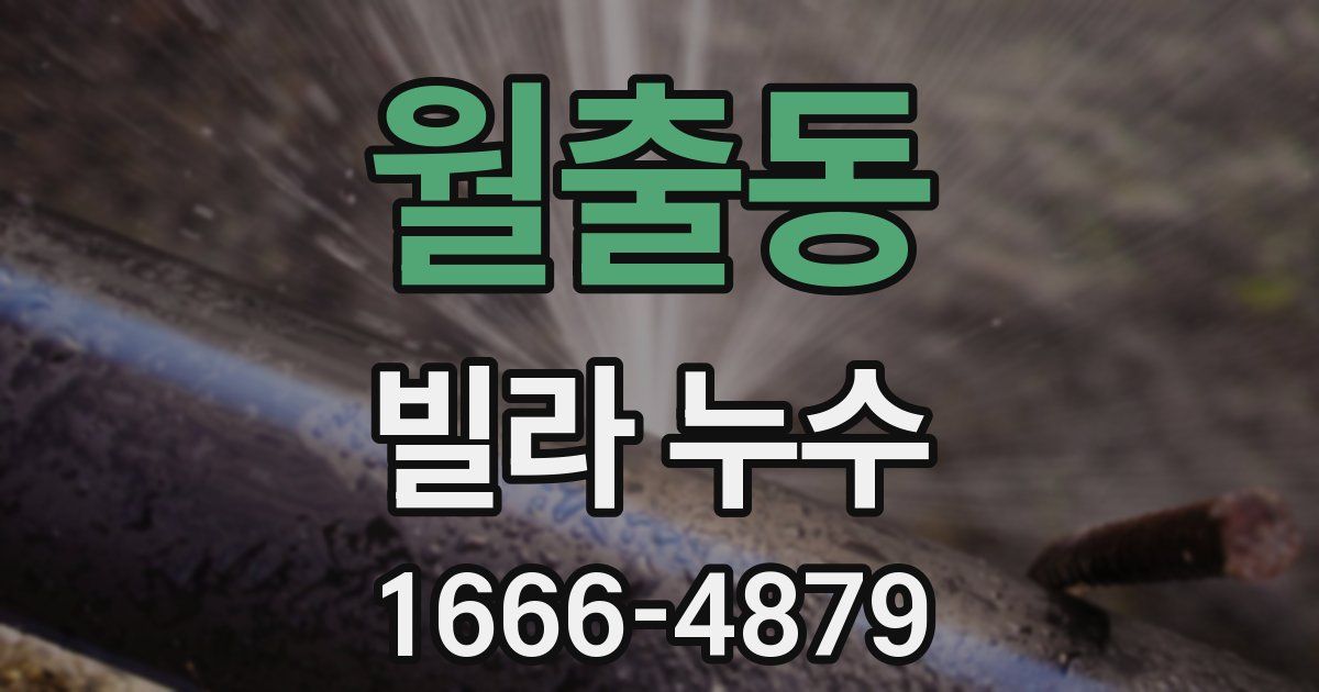 월출동 빌라 누수