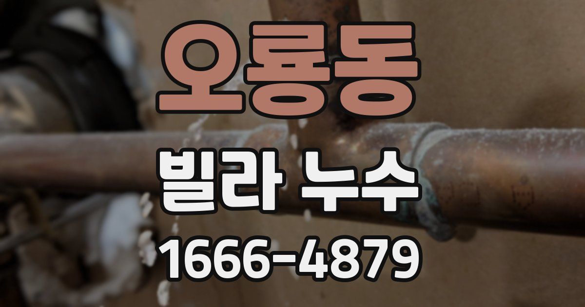 오룡동 빌라 누수