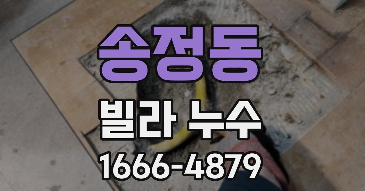 송정동 빌라 누수