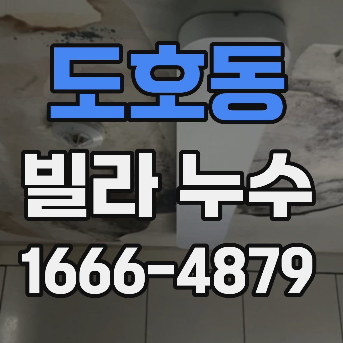 도호동 빌라 누수 점검이 필요한 신호