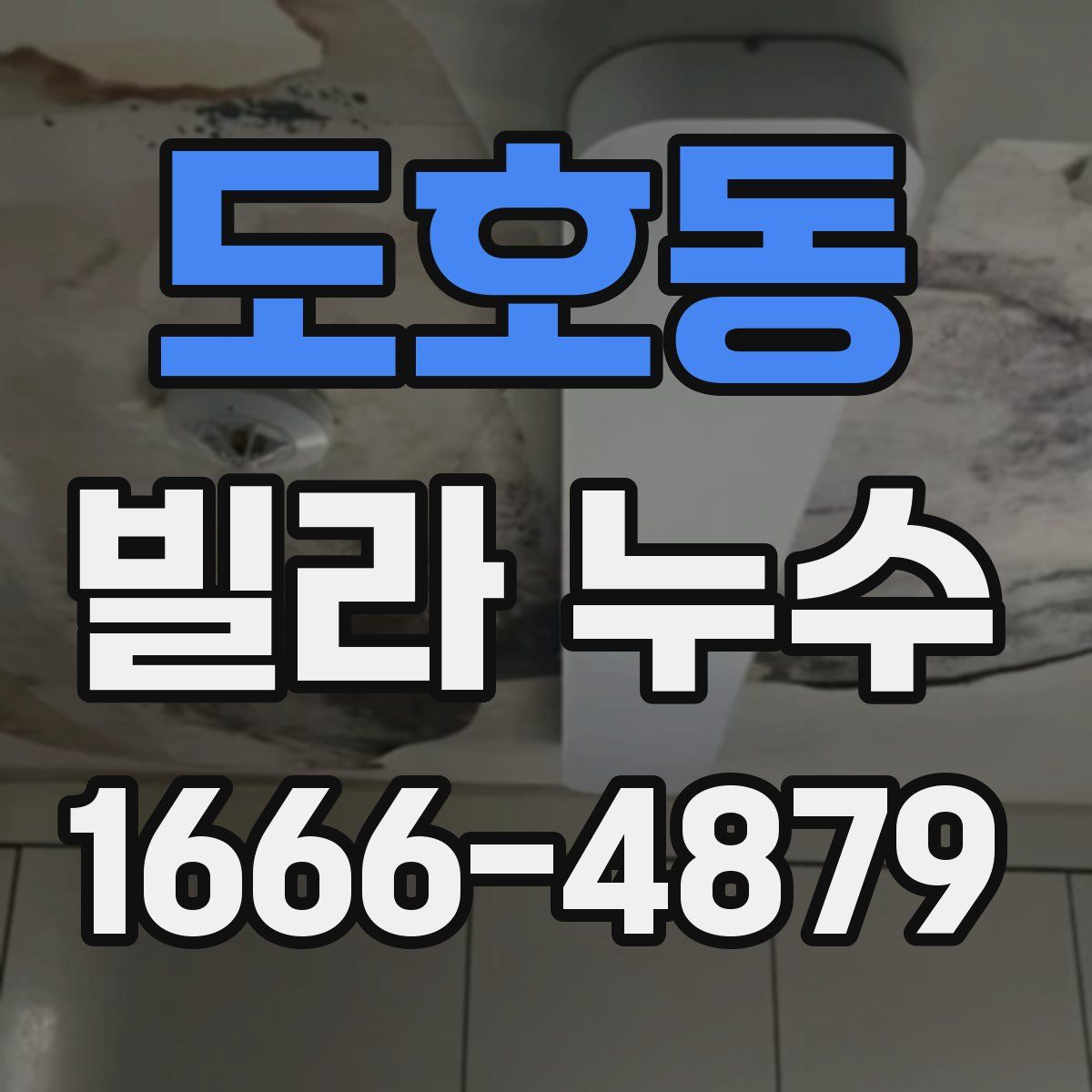 도호동 빌라 누수