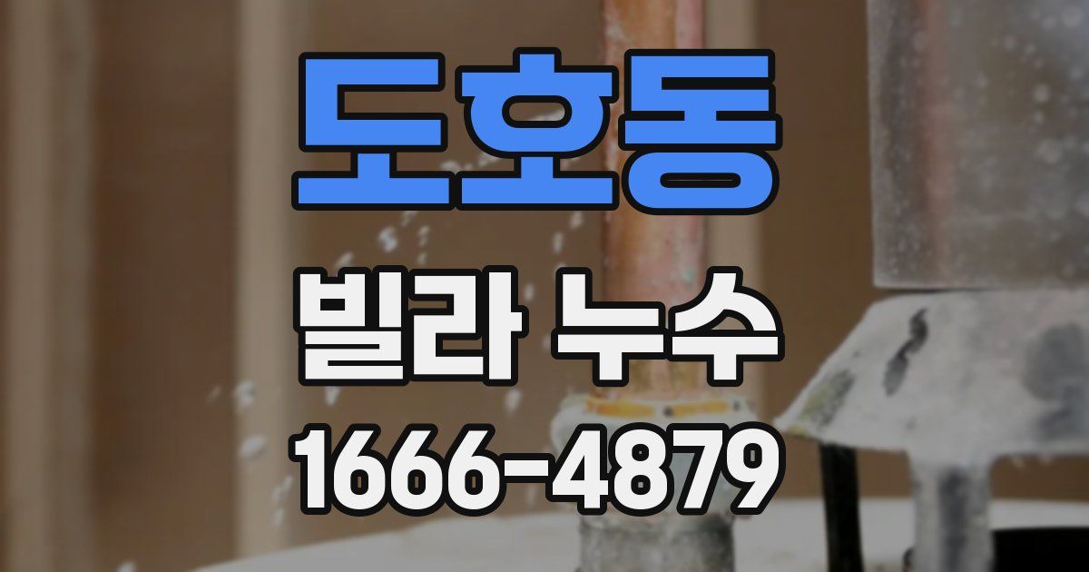 도호동 빌라 누수
