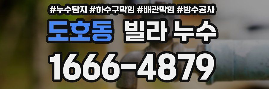 도호동 빌라 누수