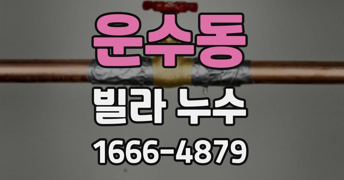 운수동 빌라 누수