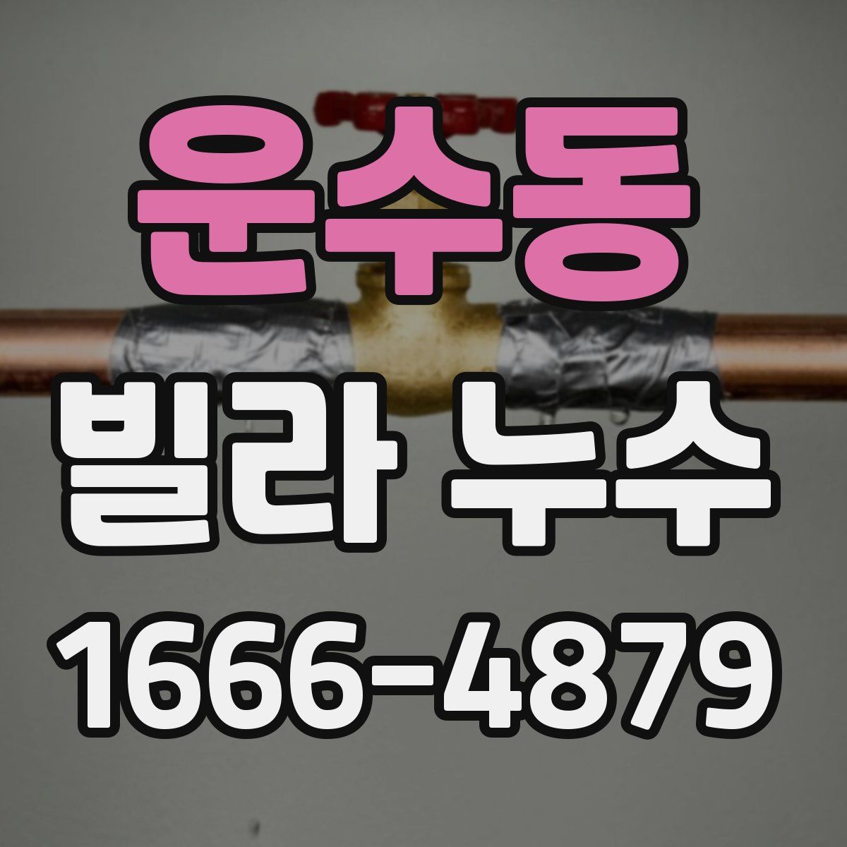 운수동 빌라 누수
