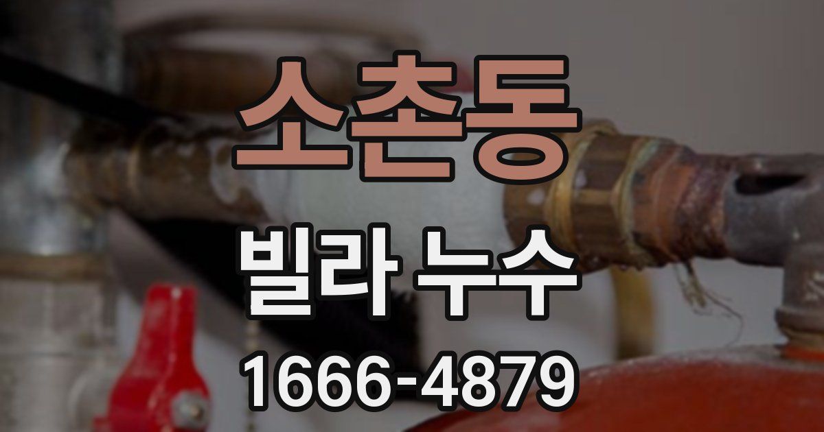 소촌동 빌라 누수