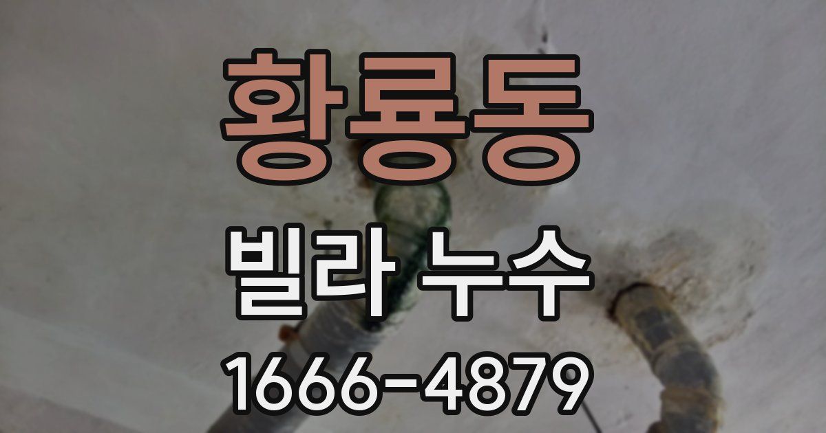 황룡동 빌라 누수