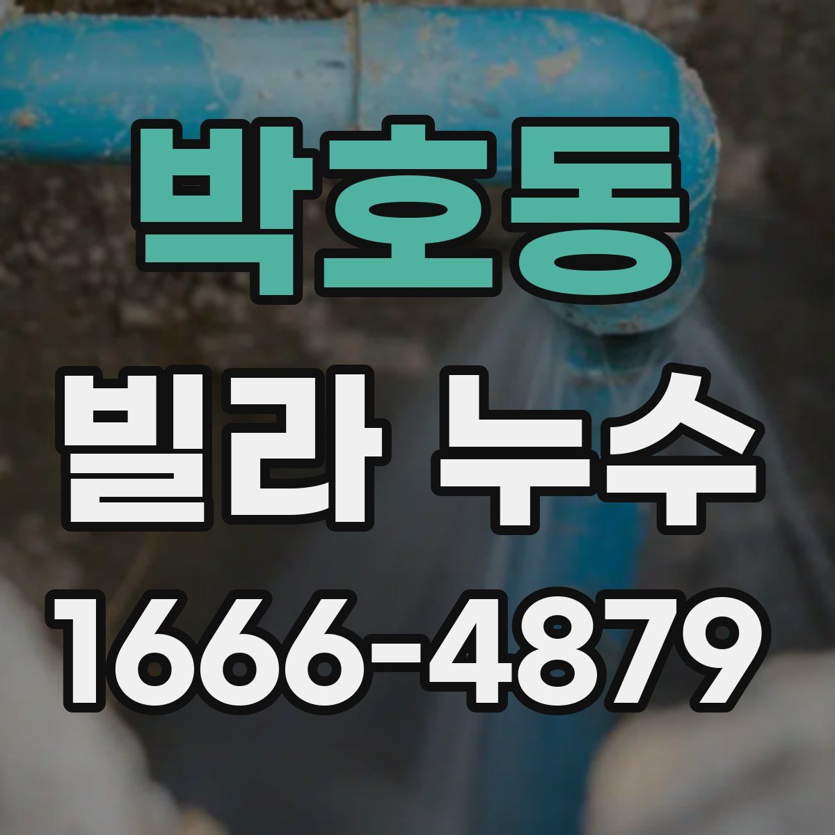 박호동 빌라 누수