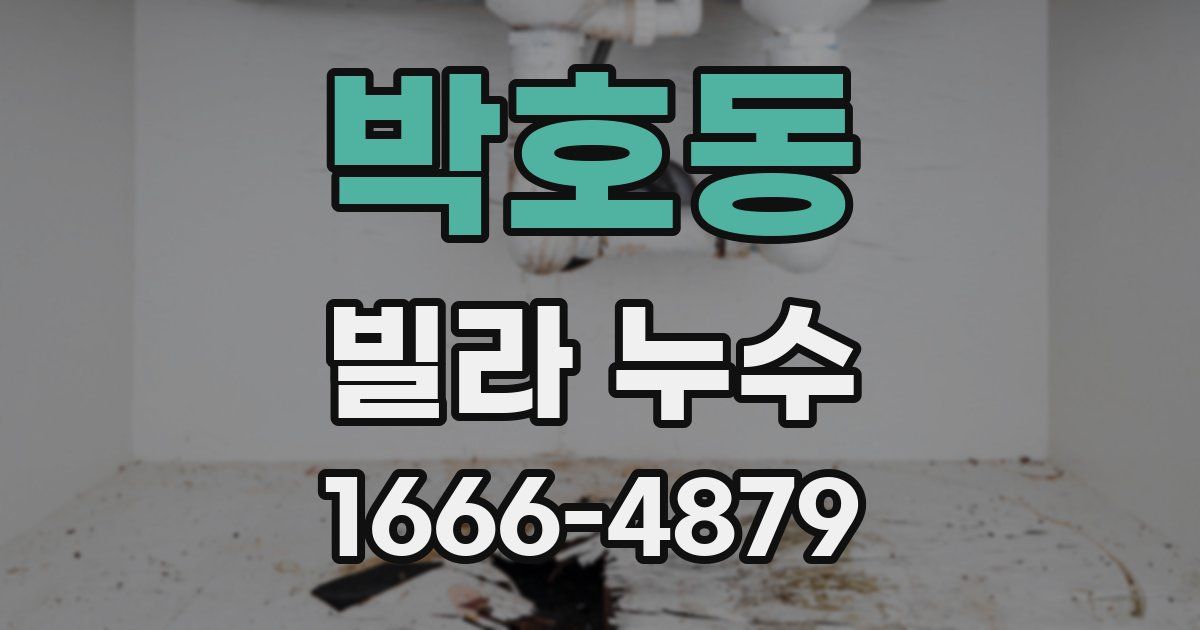박호동 빌라 누수