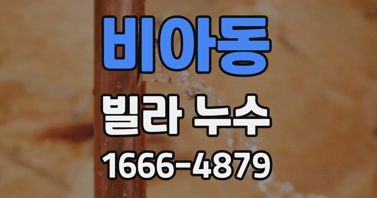 비아동 빌라 누수