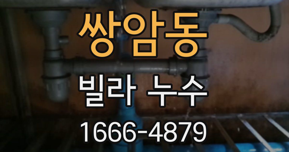 쌍암동 빌라 누수