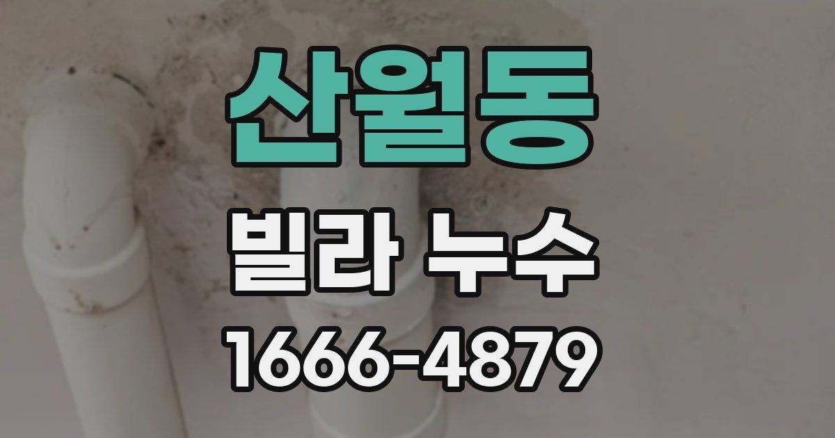 산월동 빌라 누수