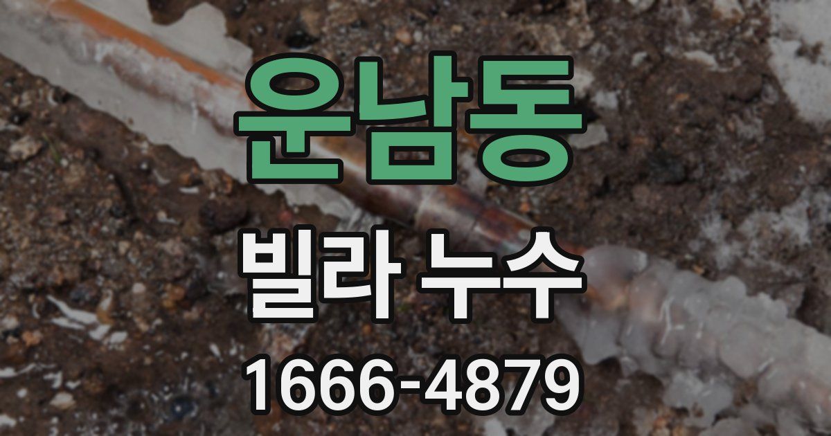 운남동 빌라 누수