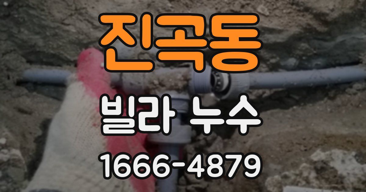 진곡동 빌라 누수