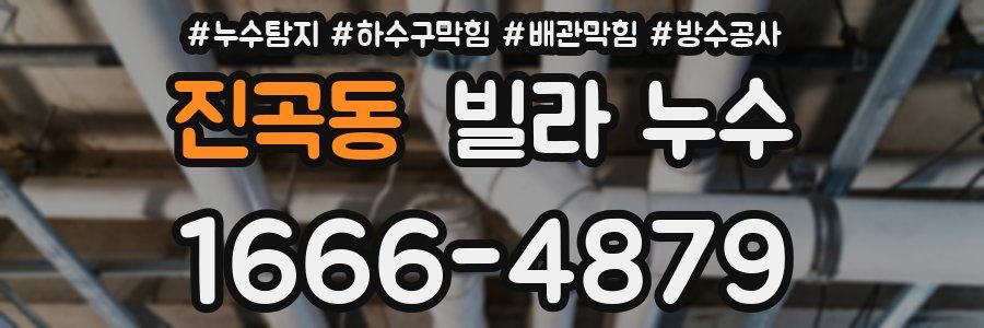 진곡동 빌라 누수