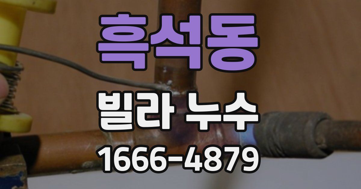 흑석동 빌라 누수