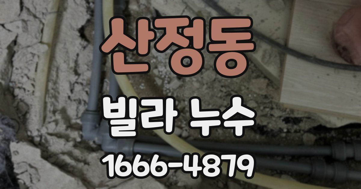 산정동 빌라 누수
