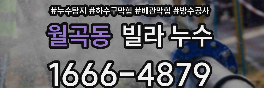 월곡동 빌라 누수